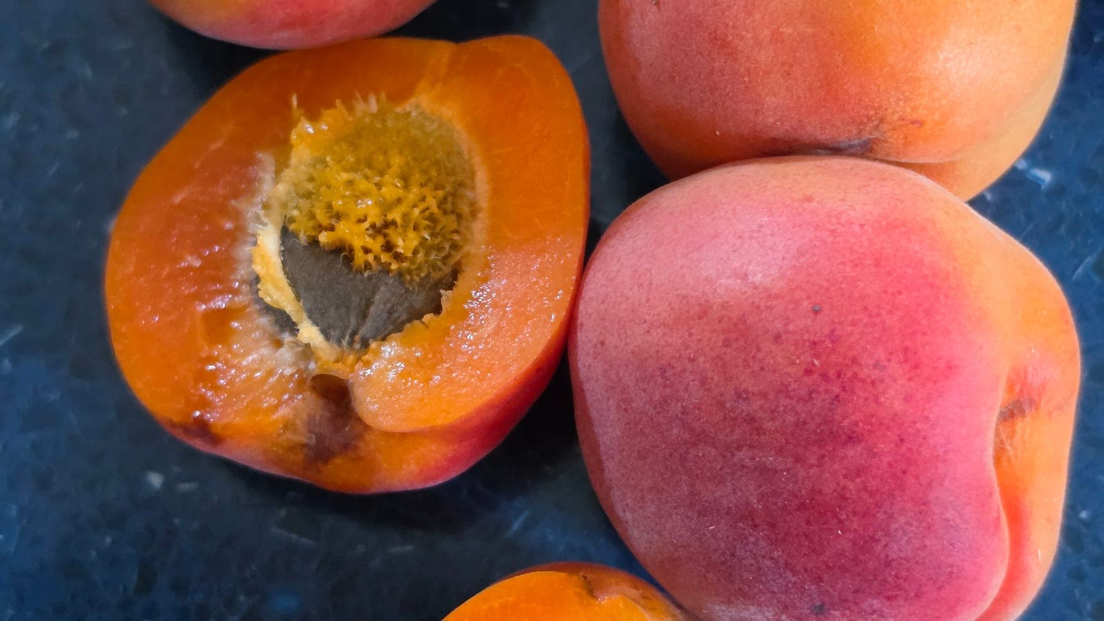 Des abricots, dont un coupé en deux : le noyau est encore en place dans la chair, et l’autre moitié en garde l’empreinte. (Photo Manuel Ferreira.)