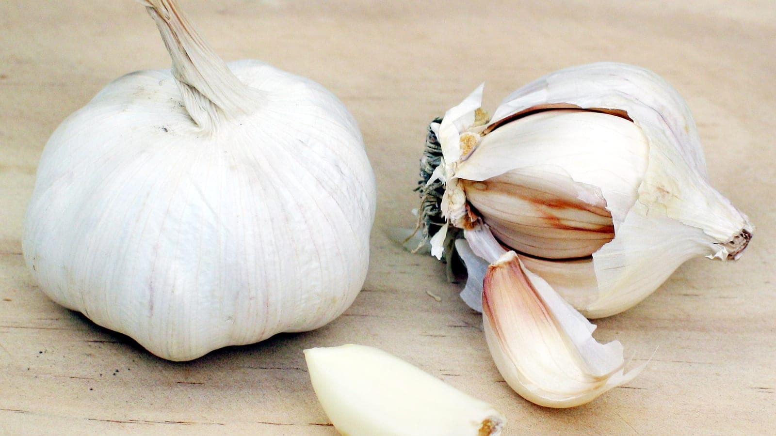 Une tête d’ail (Allium sativum) et ses caïeux détachés : le bulbe et ses bulbilles, souvent appelés à tort « gousses ». (Photo Donovan Govan, CC BY-SA 3.0.)