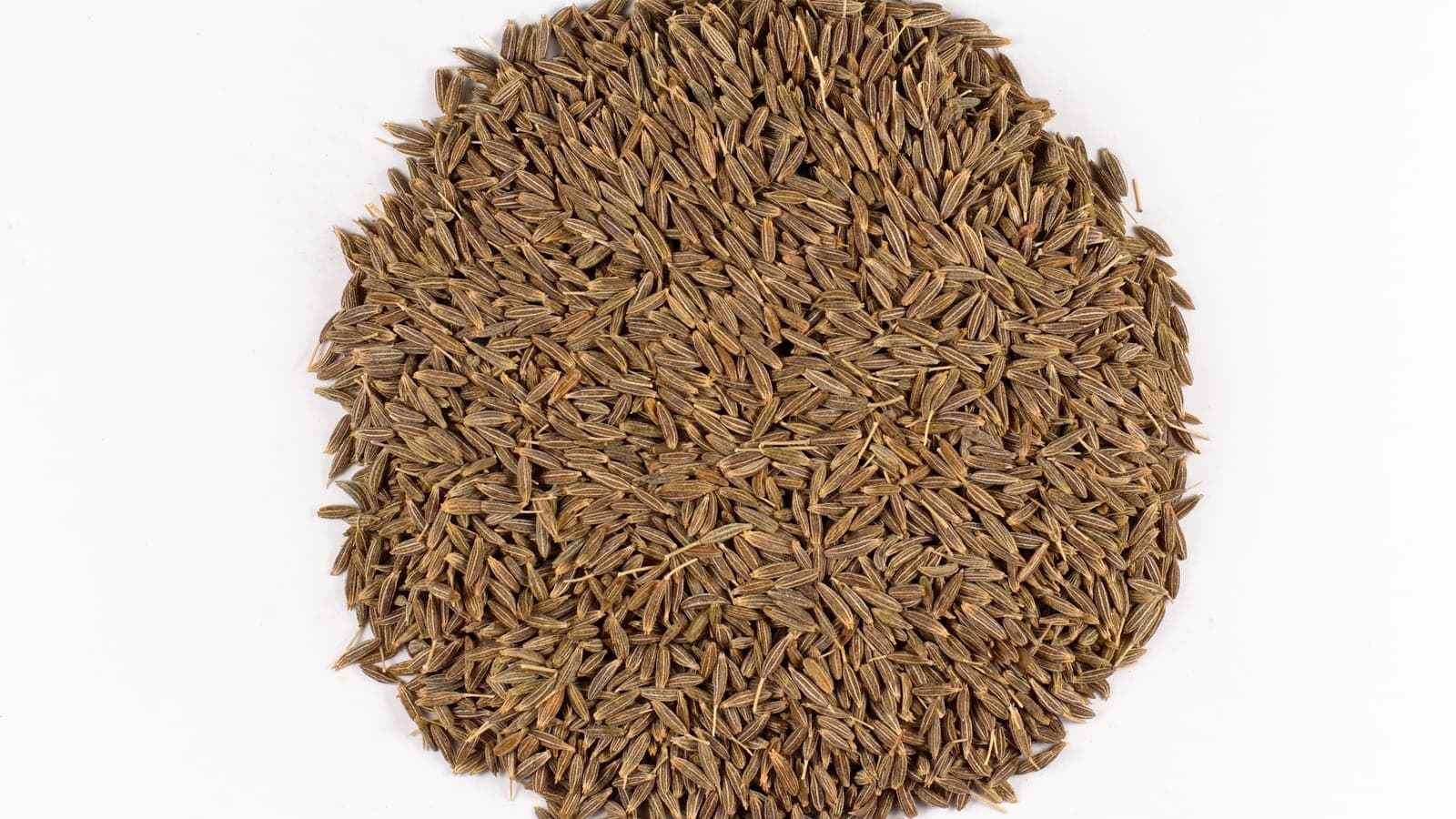 Gros plan de cumin en vrac : de petits fuseaux bruns marqués de côtes longitudinales. Ce ne sont pas des graines, mais les fruits de la plante. (Photo Sanjay Acharya, CC BY-SA 4.0.)
